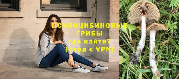 синтетический гашиш Армянск