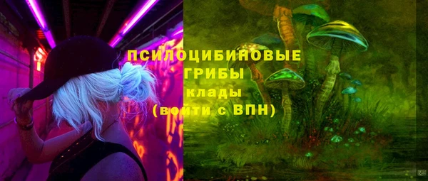 герыч Арсеньев